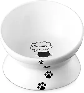 YHY Cat Bowl Anti Vomiting, Elevated Ceramic Pet Food Bowl